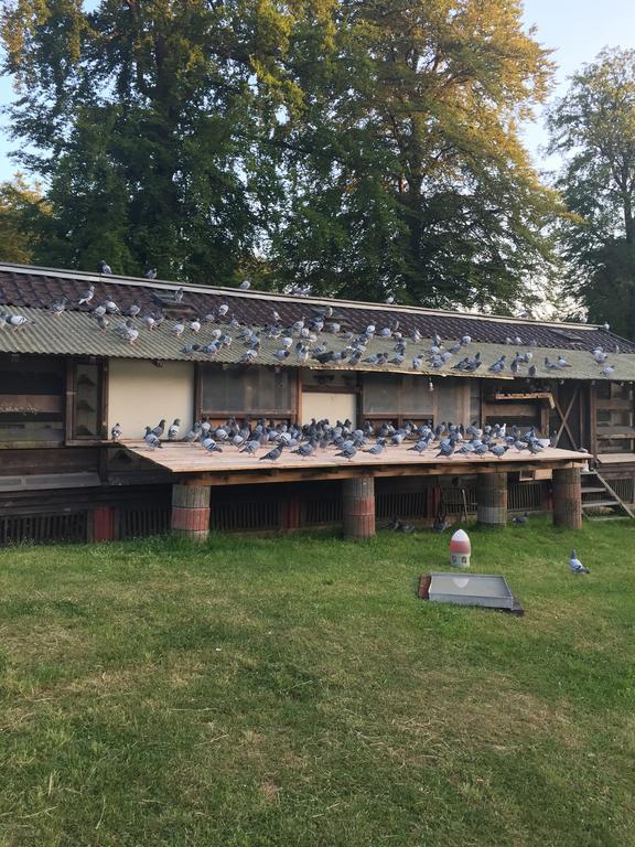 Hotel-Restaurant Johanniskreuz Trippstadt Buitenkant foto